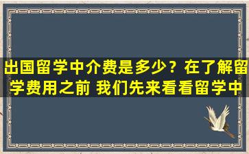 出国留学中介费是多少？在了解留学费用之前 我们先来看看留学中介费用是多少